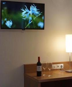 TV a/nebo společenská místnost v ubytování Hotel Weingut Rosenhof