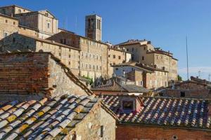 a group of roofs of buildings in a city at Holiday Apartment in Historical Palace in Montepulciano