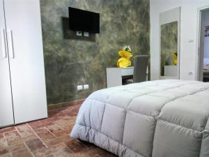 a bedroom with a bed and a tv on a wall at Il Panorama in Sinalunga