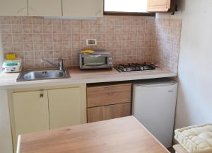 eine kleine Küche mit einer Spüle und einer Mikrowelle in der Unterkunft Residence Lion in San Vito lo Capo
