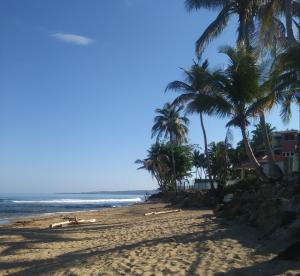 a sandy beach with palm trees and the ocean at Ocean Dreams in Aguada