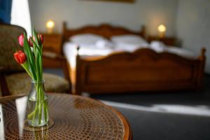 Fotografie z fotogalerie ubytování Hotel Na Zámečku v destinaci Ústí nad Orlicí