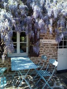 two chairs sitting under a wisteria tree at Gite Bleu in MÃ©nil-Vin