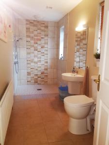 uma casa de banho com um WC, um chuveiro e um lavatório. em The Village Rooms em Dundalk