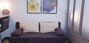 诺维萨德YELLOW FLOWER的客厅的沙发,墙上挂着照片