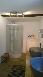 a bathroom with a shower and a sink and a tub at Gite Rouge and la Ferme Blanche in MÃ©nil-Vin