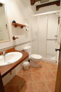 W łazience znajduje się toaleta, umywalka i prysznic. w obiekcie Apartamentos Sorripas 1 hab w mieście Bielsa