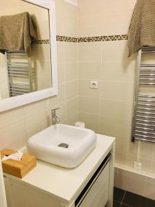 a bathroom with a white sink and a mirror at Appartement Héloïse, le charme du Vieux-Lille in Lille