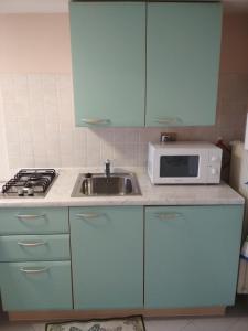 a kitchen with a sink and a microwave at VOLOLIBEROAPARTMENTS 2 in Borso del Grappa