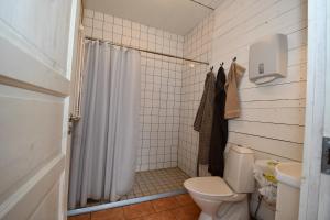 a bathroom with a toilet and a shower at Kolarbogård in Fors
