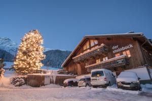 Pension der Steinbock - das 300 Jahre alte Bauernhaus - TIROL v zimě