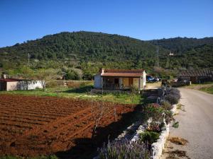 a house on the side of a road next to a field at Holiday Home Cvitka in Vis