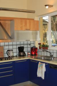 een keuken met blauwe kasten, een fornuis en een wastafel bij AMANTA PLACE in Athene
