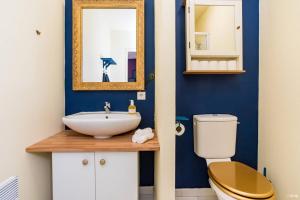 a bathroom with a sink and a toilet and a mirror at Le Paon - Netflix - Plein centre in Toulouse