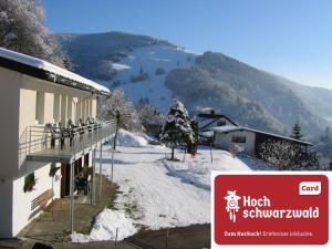 托特瑙Steiert Panorama Apartments Todtnau的带阳台的山景建筑