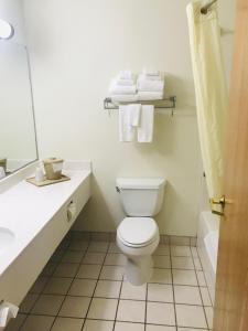 La salle de bains est pourvue de toilettes, d'un lavabo et d'un miroir. dans l'établissement American Inn and Suites Houghton Lake, à Houghton Lake