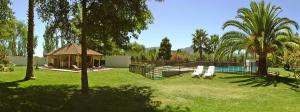 ein Garten mit Pool, Pavillon und zwei Stühlen in der Unterkunft La Perla Hotel in Santa Cruz