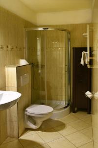La salle de bains est pourvue de toilettes, d'une douche et d'un lavabo. dans l'établissement Willa Pod Dobrym Humorem, à Międzygórze