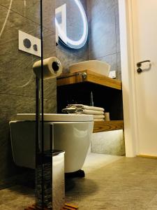 a bathroom with a toilet and a sink and a mirror at Wooden House near City center in Rīga