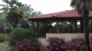 A garden outside Villa Anna