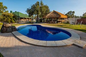 a swimming pool in a yard with a gazebo at Overlander Homestead Motel in Roma