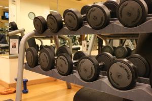Fitness centrum a/nebo fitness zařízení v ubytování Hotel Villamadrid