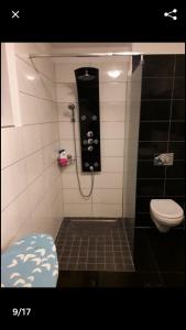 een badkamer met een douche en een toilet bij La cretu in Rozavlea