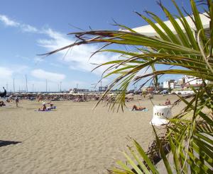 Plaża w apartamencie lub w pobliżu