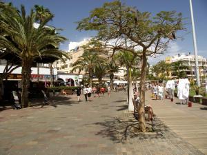 Zdjęcie z galerii obiektu Parque Tropical I w mieście Los Cristianos