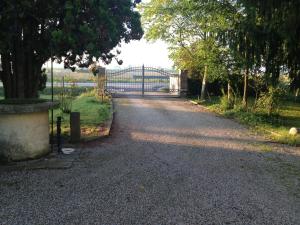 Przyroda w pobliżu tego pensjonatu