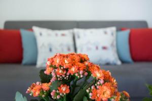 Billede fra billedgalleriet på Blue Apartment IUN S0079 i Cala Gonone