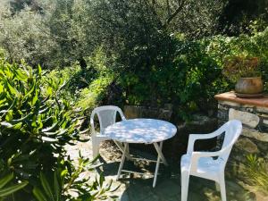 Vonkajšia záhrada v ubytovaní Casa Mediterraneo