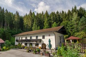 Ein Gebäude mit einem Haufen Stühle vor einem Wald in der Unterkunft Waldhotel Bad Jungbrunn in Tristach + 36 Fotos