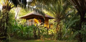 uma casa no meio de uma floresta com palmeiras em Anurak Community Lodge - SHA Plus em Khao Sok