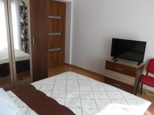 a bedroom with a bed and a tv on a dresser at Garsoniera Luxury in Sibiu