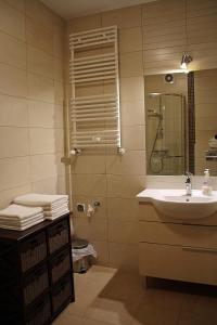 a bathroom with a sink and a shower at Apartament POLANKI in Kołobrzeg