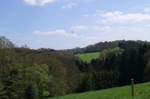 a green hillside with trees and a field at Pension Oberberg in Lindlar