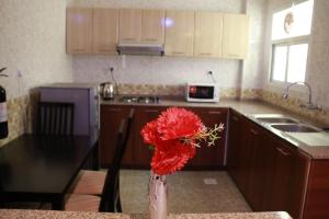 Kuchyň nebo kuchyňský kout v ubytování Horizon Hotel Apartments - الأفق للشقق الفندقية