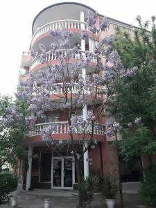 Zahrada ubytování Art Guest House Orchidea