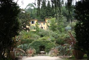 a house in the middle of a garden with plants at Cocooning in Menton