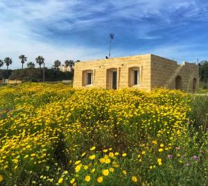 un edificio en medio de un campo de flores en Villa Mariapaola, en Torre Vado