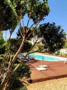 a swimming pool with a wooden deck and trees at Patio De Violette in Uzès