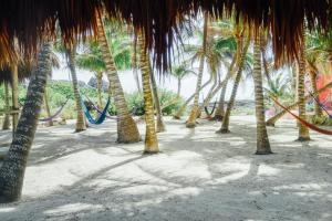 
a beach with palm trees and palm trees at Zamas Hotel in Tulum
