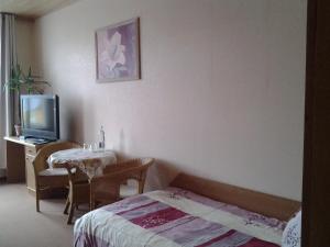 a room with a bed and a table and a tv at Zur alten Eiche in Stepenitz +39 photos