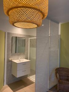 a bathroom with a sink and a shower and a chandelier at Carpe Diem in Jumet +37 photos