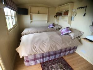 Postel nebo postele na pokoji v ubytování The Hawthorn Shepherds Hut + 21 fotografií