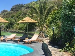 蒙蒂塞洛的住宿－Hotel Minera，毗邻度假酒店的带椅子和遮阳伞的游泳池