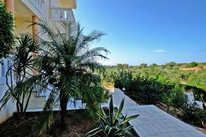 a palm tree in front of a building at Poseidon Apartments in Kato Daratso