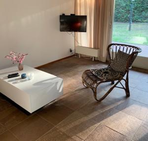 TV a/nebo společenská místnost v ubytování Vakantie huisjes Duinrand Drunen