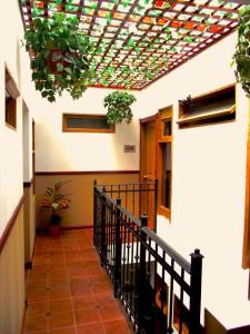 a hallway with potted plants on a building at Boutique Hotel Calle 20 in San José